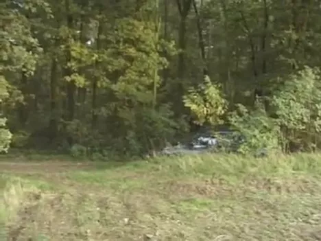 Girl with a car pooping in the woods