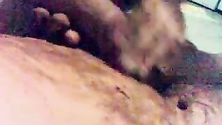 Sucking dick with shit