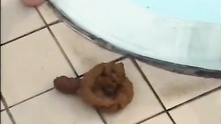 Asian shitting near the pool