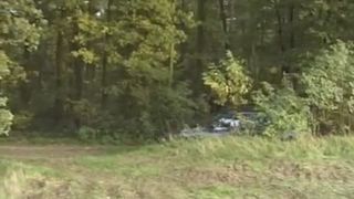 Driving to the woods to poop