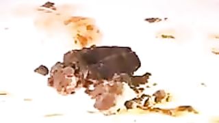 Forcing a japanese girl to eat shit
