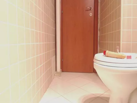 Milf in lingerie toilet pooping