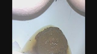 Nasty shit in toilet