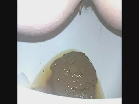 Nasty shit in toilet