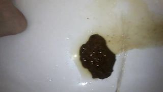 Shit piss