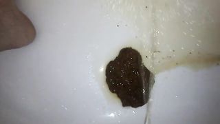 Shit piss