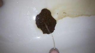 Shit piss