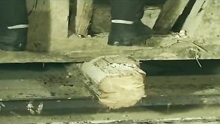 Brunette girl sucking dick