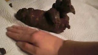 Fucking while pooping