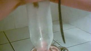 Drinking a bottle of piss