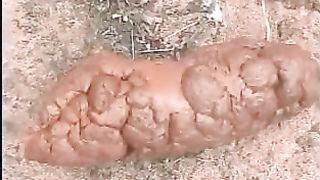 Outdoor poop with Kayla