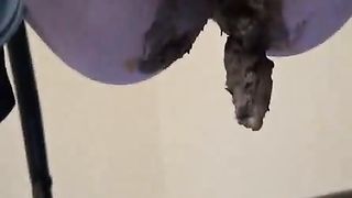 Creampie with scat