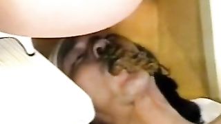 Shitty compilation