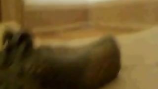 Creamy dump from Ginger girl