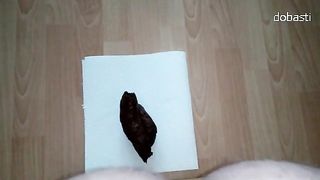 Huge turd in close up