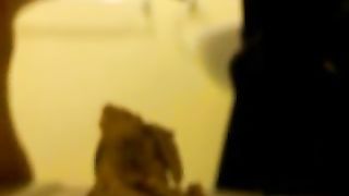 Shit over the toilet