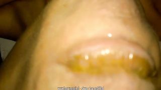 Chewing his mistress poop