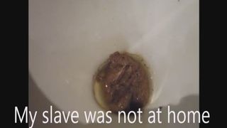 Present for her slave