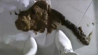 Shitting between legs