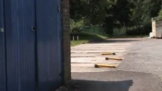 Peeing behind a blue container