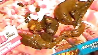 She's pooping many times