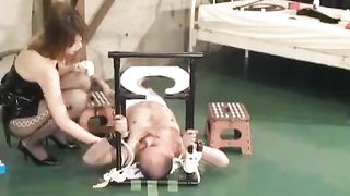 Real human toilet preview