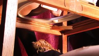 Using a wooden toilet