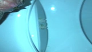 Horny wife shitting in toilet