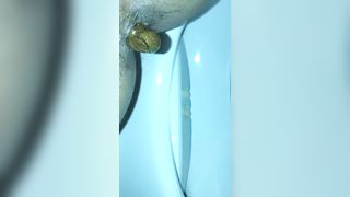Horny wife shitting in toilet