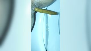 Horny wife shitting in toilet
