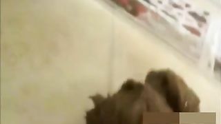 Mix of sweet girls shitting