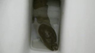 Long turd from shaved girlfriend
