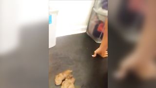 Delicious turds from a sexy teen