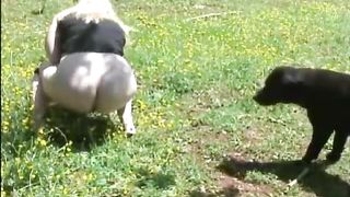 Shitting outdoor slowly