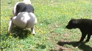 Shitting outdoor slowly