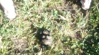 She rubs poop on her face