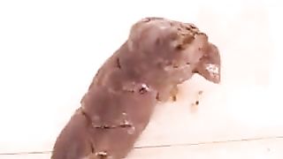 Low quality of a teen shitting