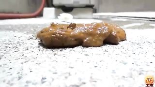 Alley outdoor diarheea