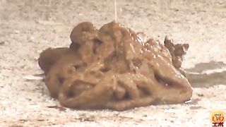 Japanese teen caught shitting in public