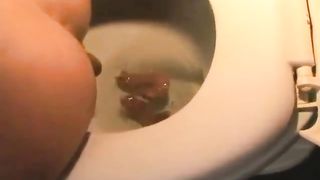 Mix of two girls shitting