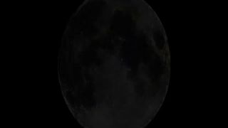 Dark haired teen smears shit on nude body