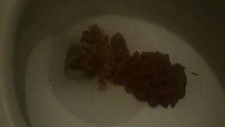 Toilet Shit