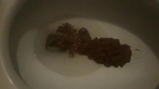 Toilet Shit