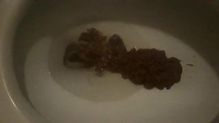 Toilet Shit