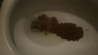 Toilet Shit