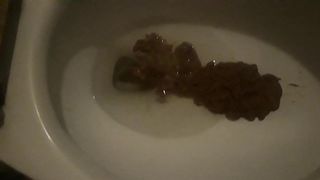 Toilet Shit
