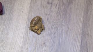 Beautiful college girl shitting