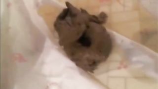 College girl shitting slowly