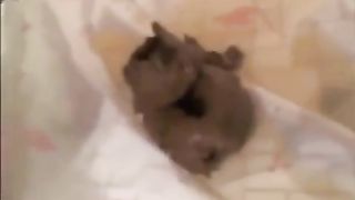 College babe eats her own shit