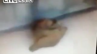 Caught shitting in real public bus stop